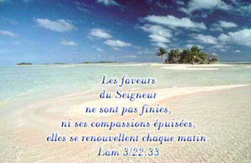 Les faveurs du Seigneur ne sont pas finies ....