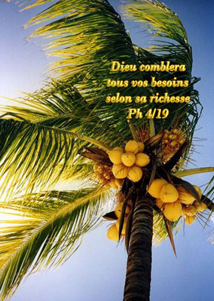 Dieu comblera tous vos besoins.....